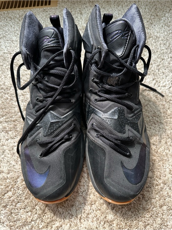Nike Other - Nike LeBron James 13 Black Lion Basketball Shoes